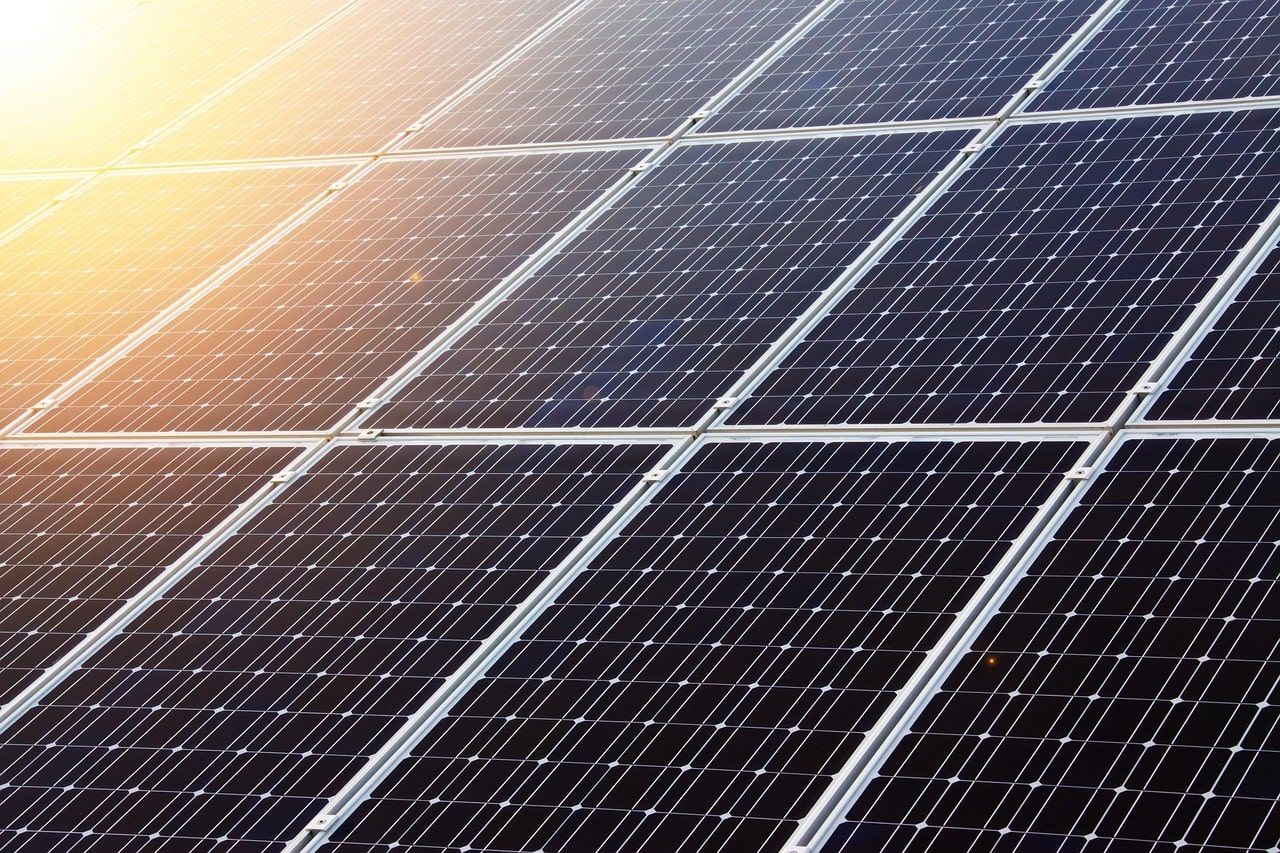 Mehrere Solarmodule in der Abendsonne
